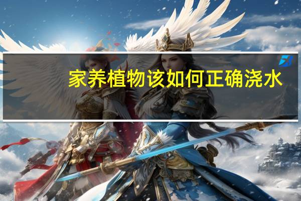 家养植物该如何正确浇水：见干见湿
