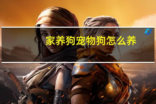 家养狗宠物狗怎么养