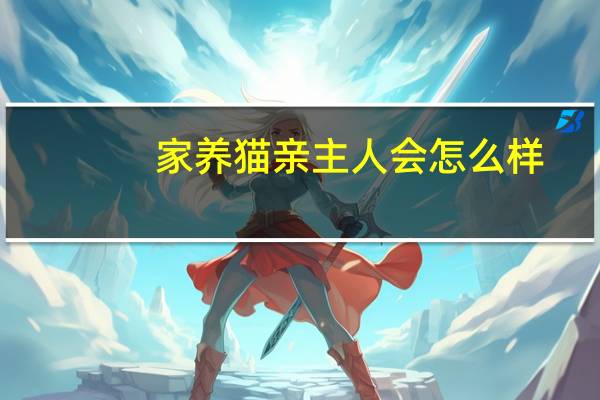 家养猫亲主人会怎么样