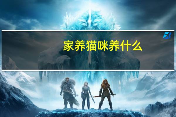 家养猫咪养什么