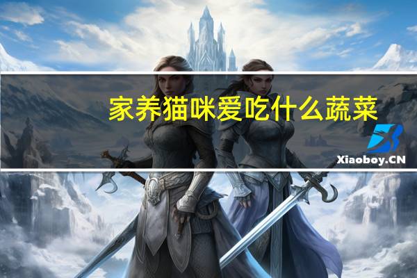家养猫咪爱吃什么蔬菜