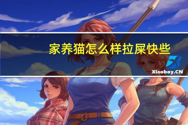 家养猫怎么样拉屎快些