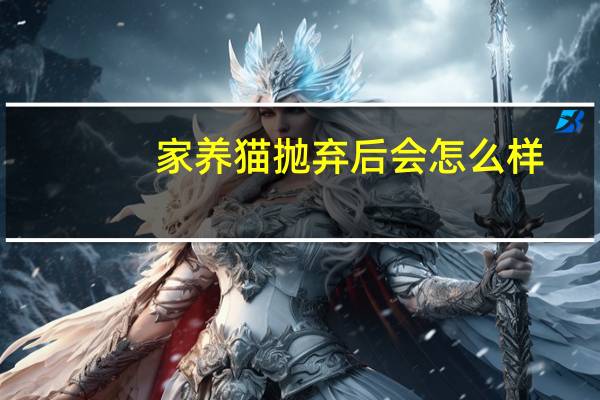 家养猫抛弃后会怎么样