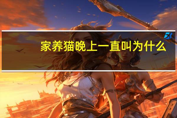 家养猫晚上一直叫为什么