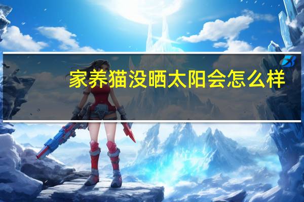 家养猫没晒太阳会怎么样