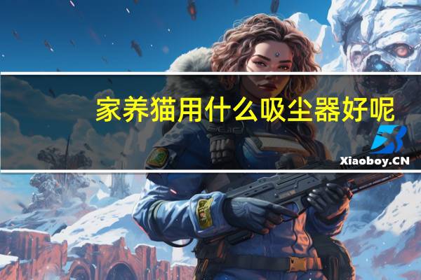 家养猫用什么吸尘器好呢