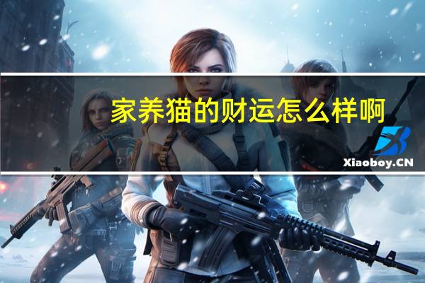 家养猫的财运怎么样啊