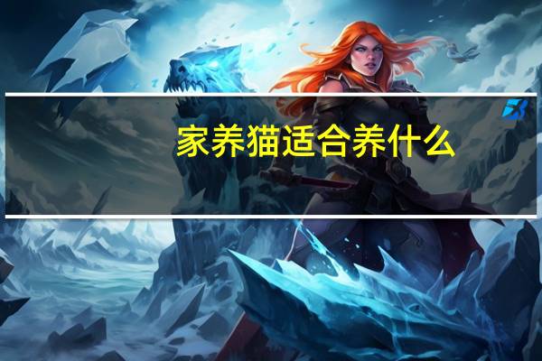 家养猫适合养什么