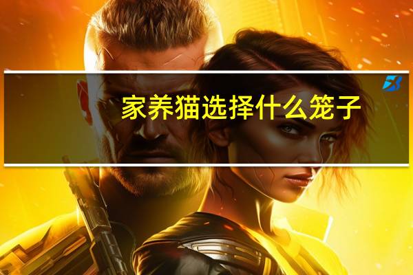 家养猫选择什么笼子