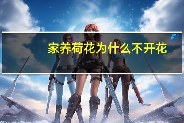 家养荷花为什么不开花