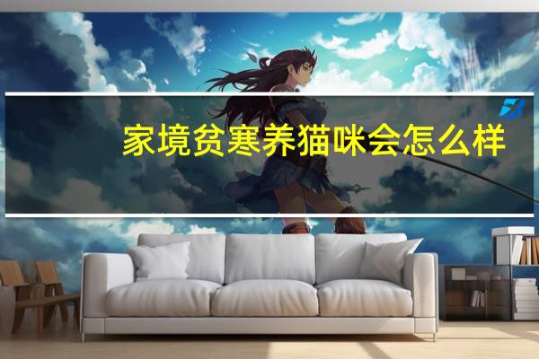 家境贫寒养猫咪会怎么样