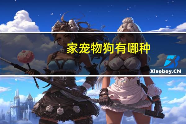 家宠物狗有哪种