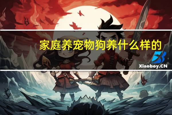 家庭养宠物狗养什么样的