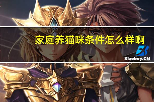 家庭养猫咪条件怎么样啊