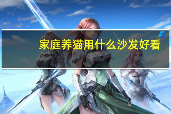 家庭养猫用什么沙发好看