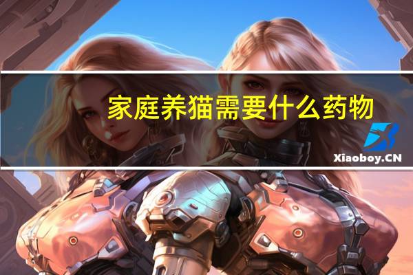 家庭养猫需要什么药物