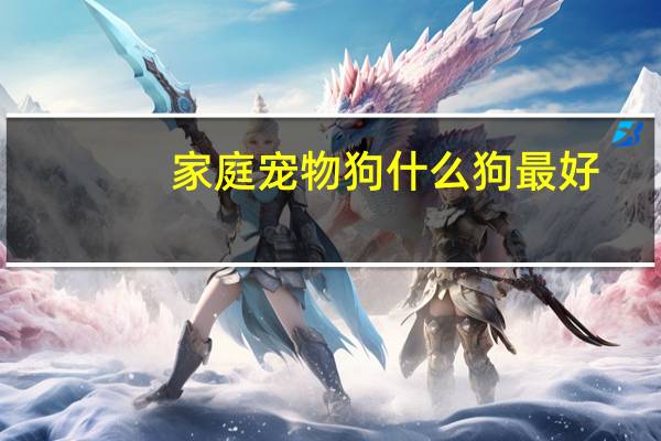 家庭宠物狗什么狗最好