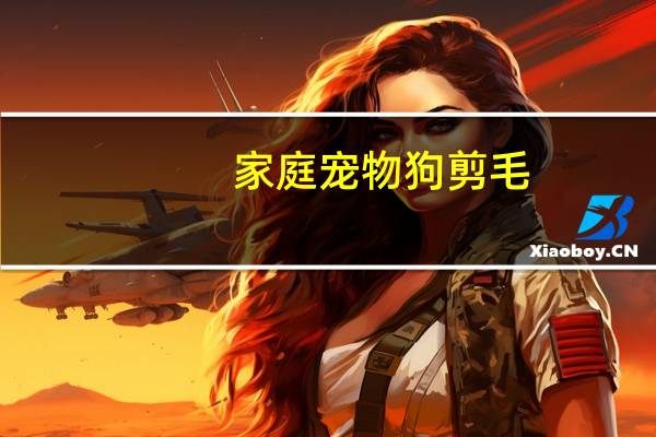 家庭宠物狗剪毛