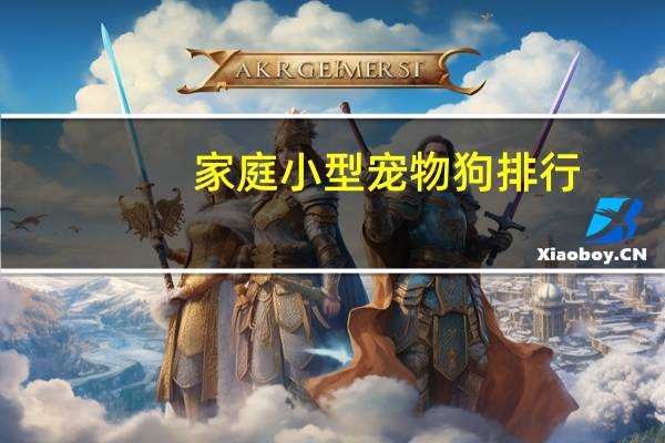 家庭小型宠物狗排行