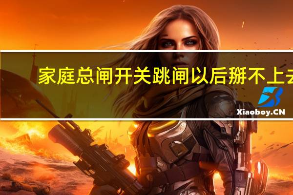 家庭总闸开关跳闸以后掰不上去（三相电闸闭合后或三相空气开关闭合后）