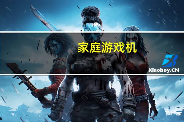 家庭游戏机（家庭游戏）