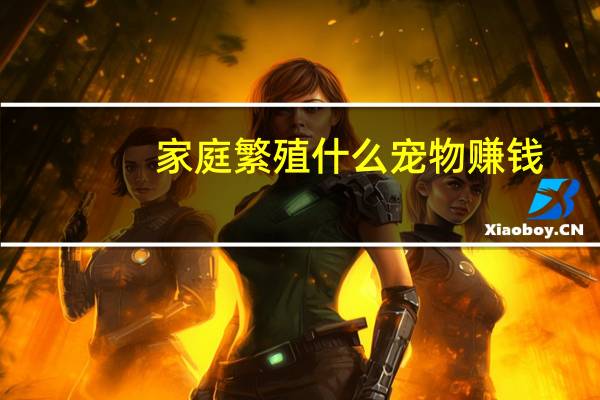 家庭繁殖什么宠物赚钱