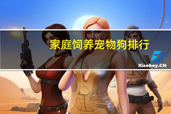 家庭饲养宠物狗排行
