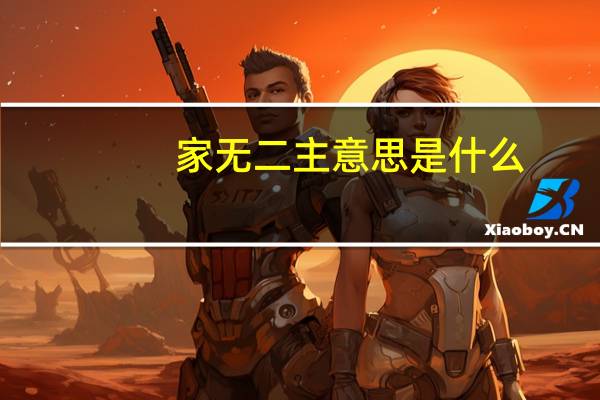 家无二主意思是什么