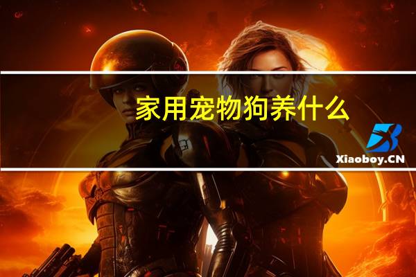 家用宠物狗养什么