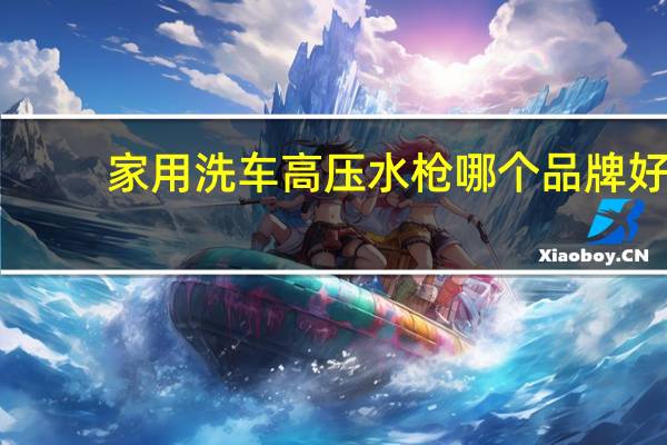 家用洗车高压水枪哪个品牌好