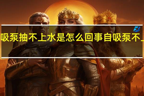 家用自吸泵抽不上水是怎么回事 自吸泵不上水什么原因