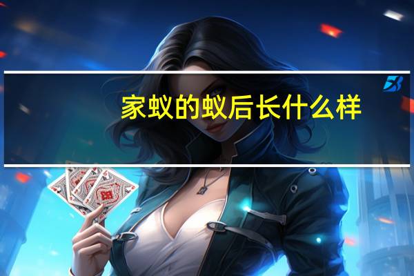 家蚁的蚁后长什么样