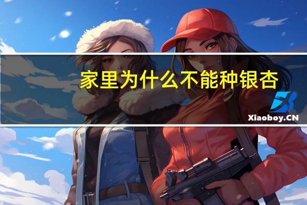 家里为什么不能种银杏