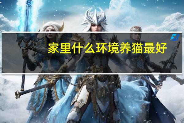 家里什么环境养猫最好