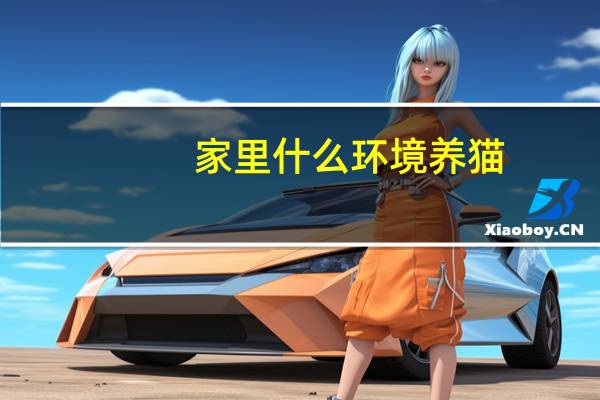 家里什么环境养猫