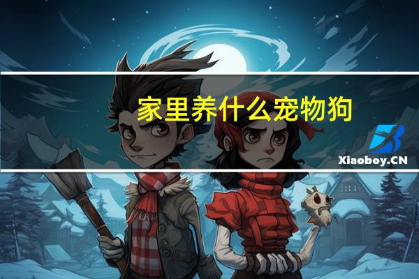 家里养什么宠物狗