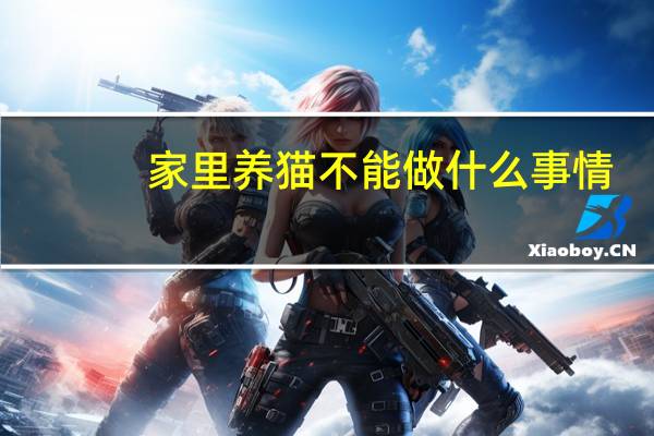 家里养猫不能做什么事情