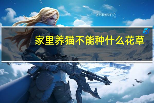 家里养猫不能种什么花草