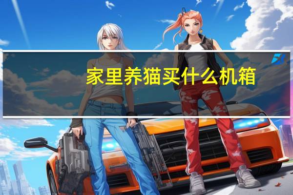 家里养猫买什么机箱