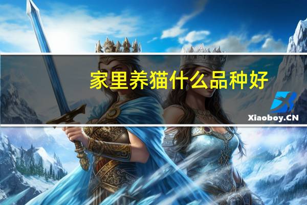 家里养猫什么品种好
