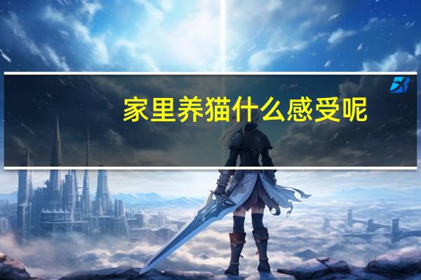 家里养猫什么感受呢