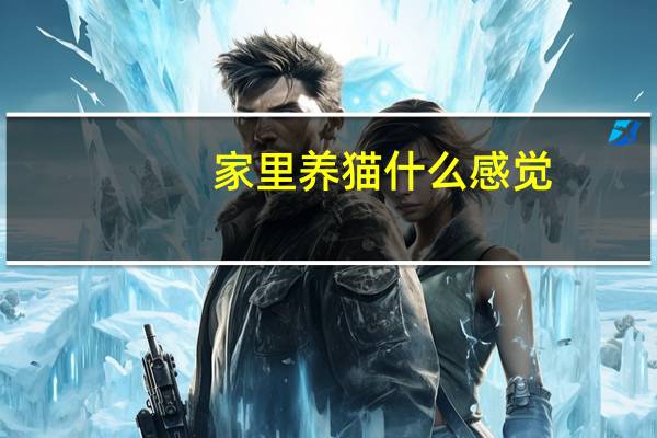 家里养猫什么感觉