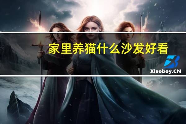 家里养猫什么沙发好看