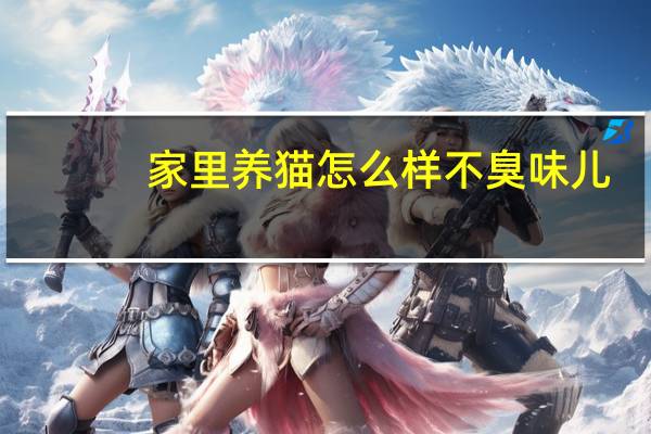 家里养猫怎么样不臭味儿