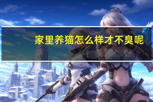 家里养猫怎么样才不臭呢