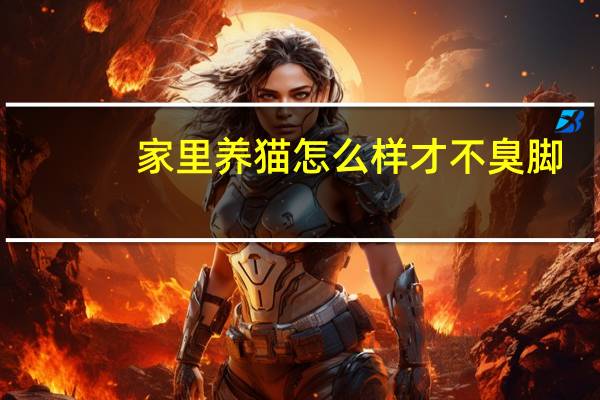 家里养猫怎么样才不臭脚