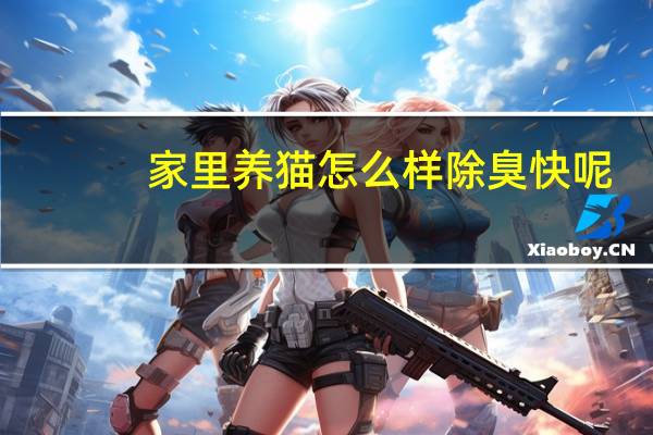 家里养猫怎么样除臭快呢