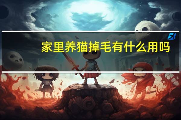 家里养猫掉毛有什么用吗