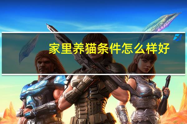 家里养猫条件怎么样好