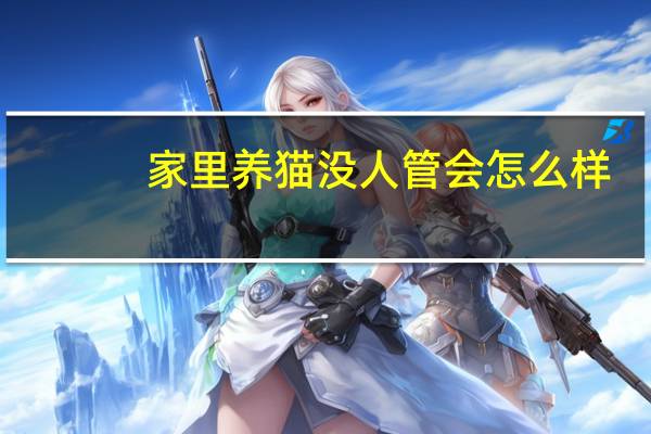 家里养猫没人管会怎么样